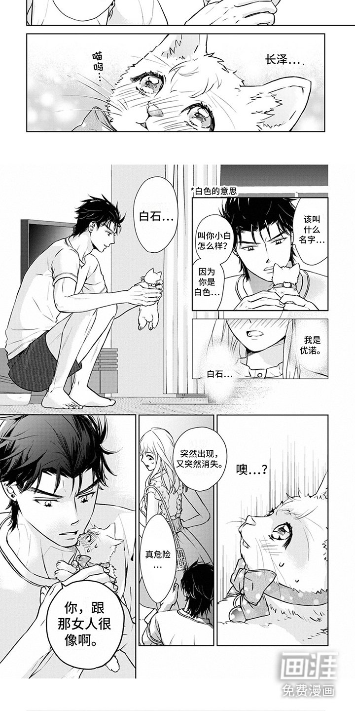 第8章：取名