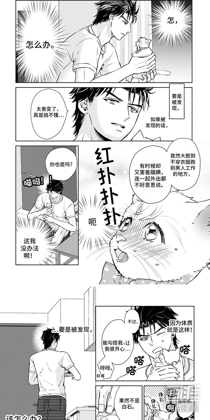 第8章：取名