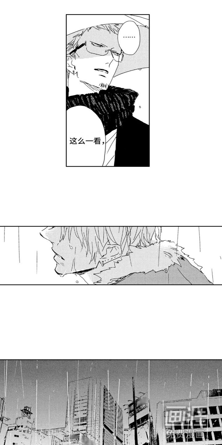 第11章：曾经