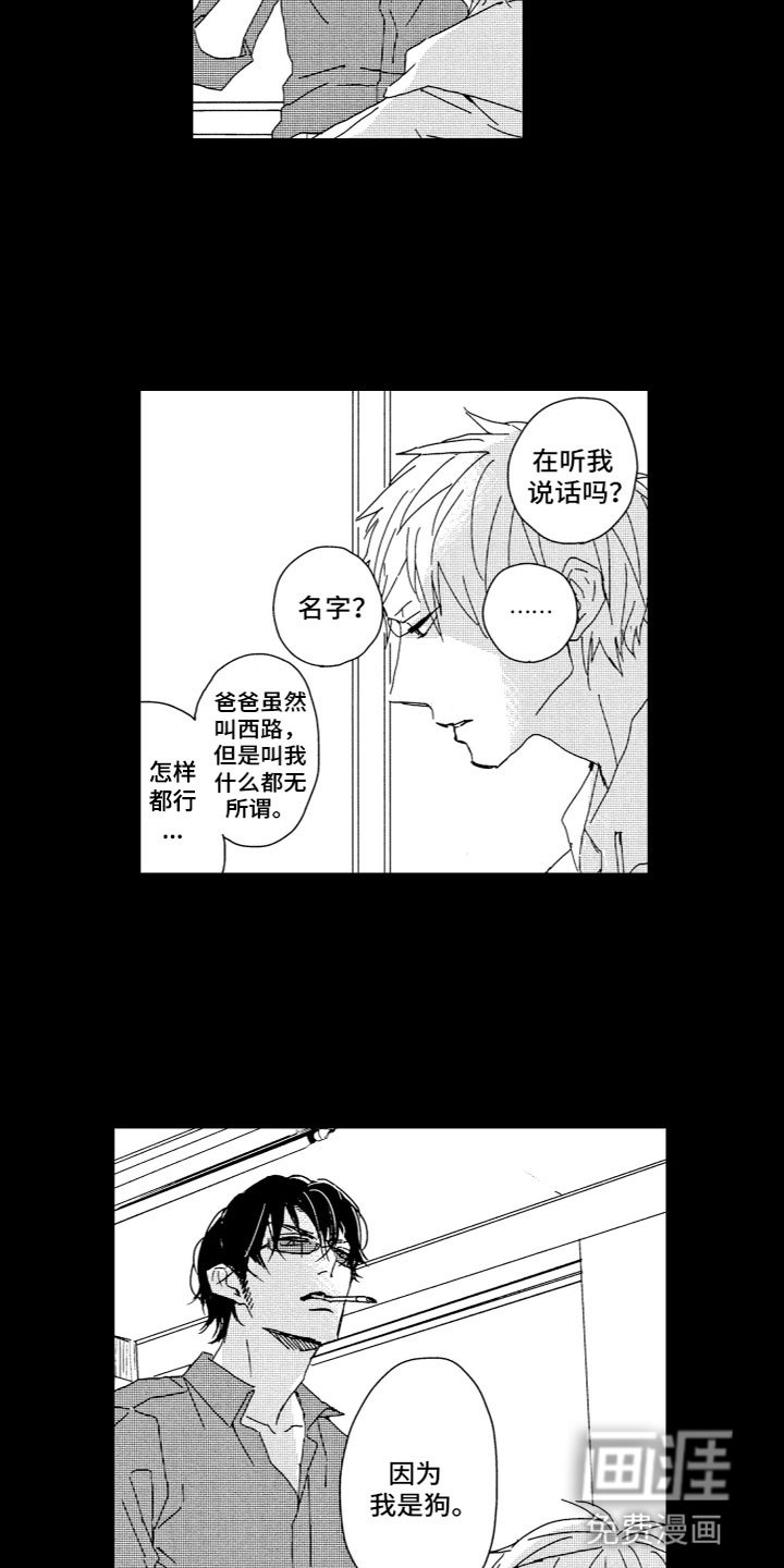 第11章：曾经