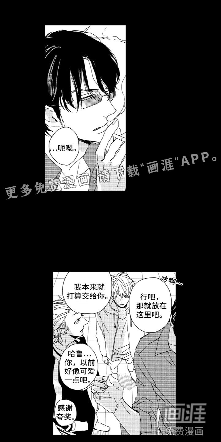 第12章：收留