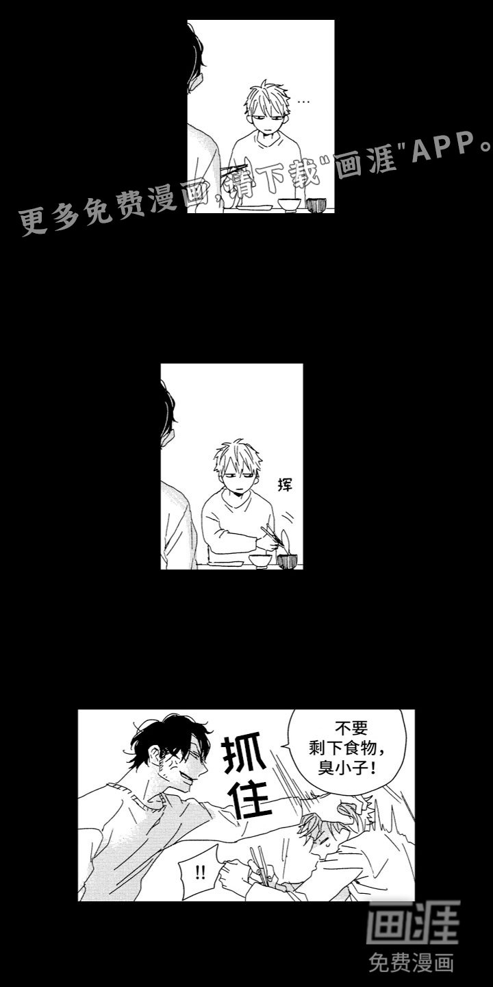 第13章：平凡