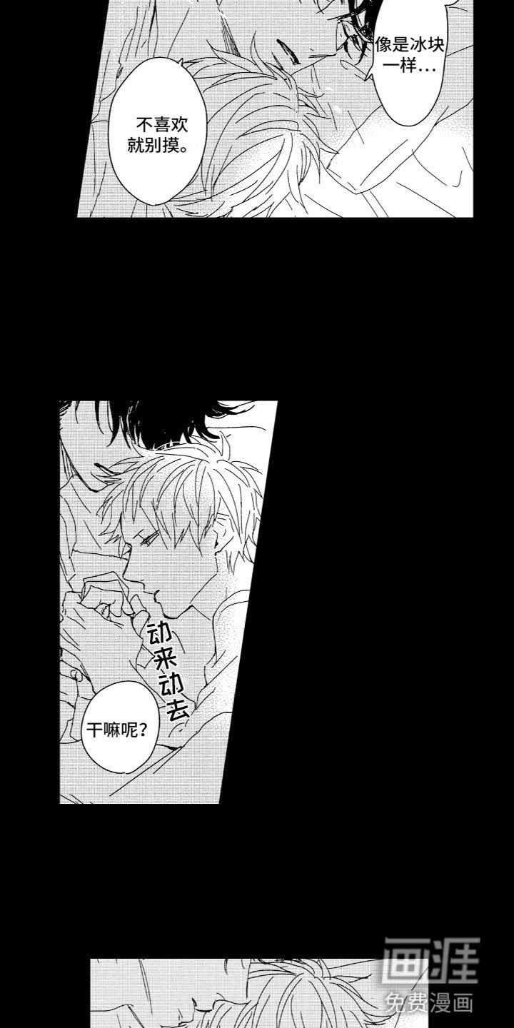 第13章：平凡