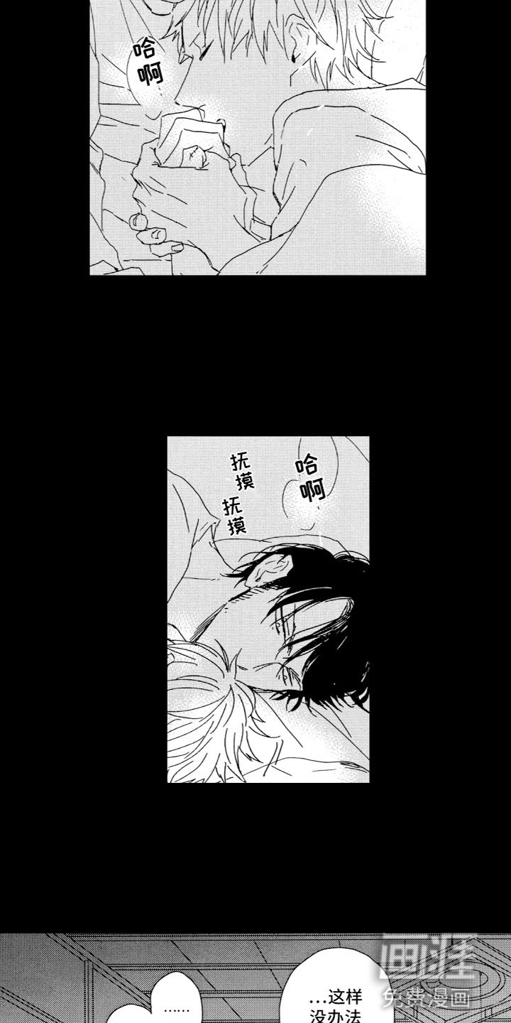 第13章：平凡