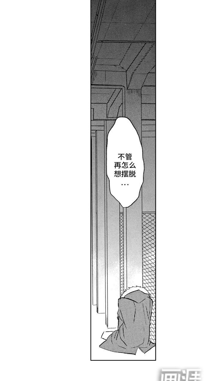 第25章：期待
