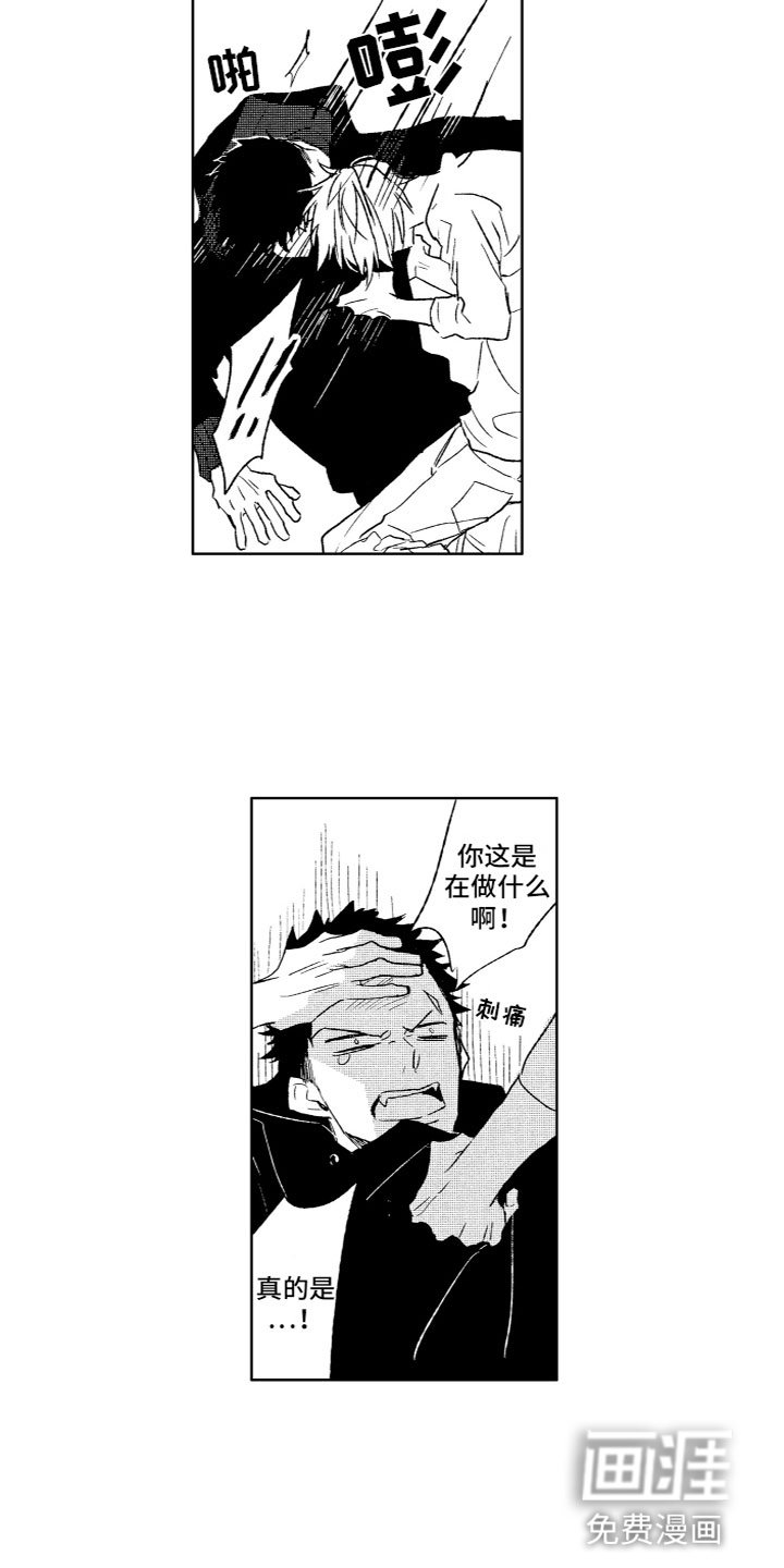 第28章：坦诚
