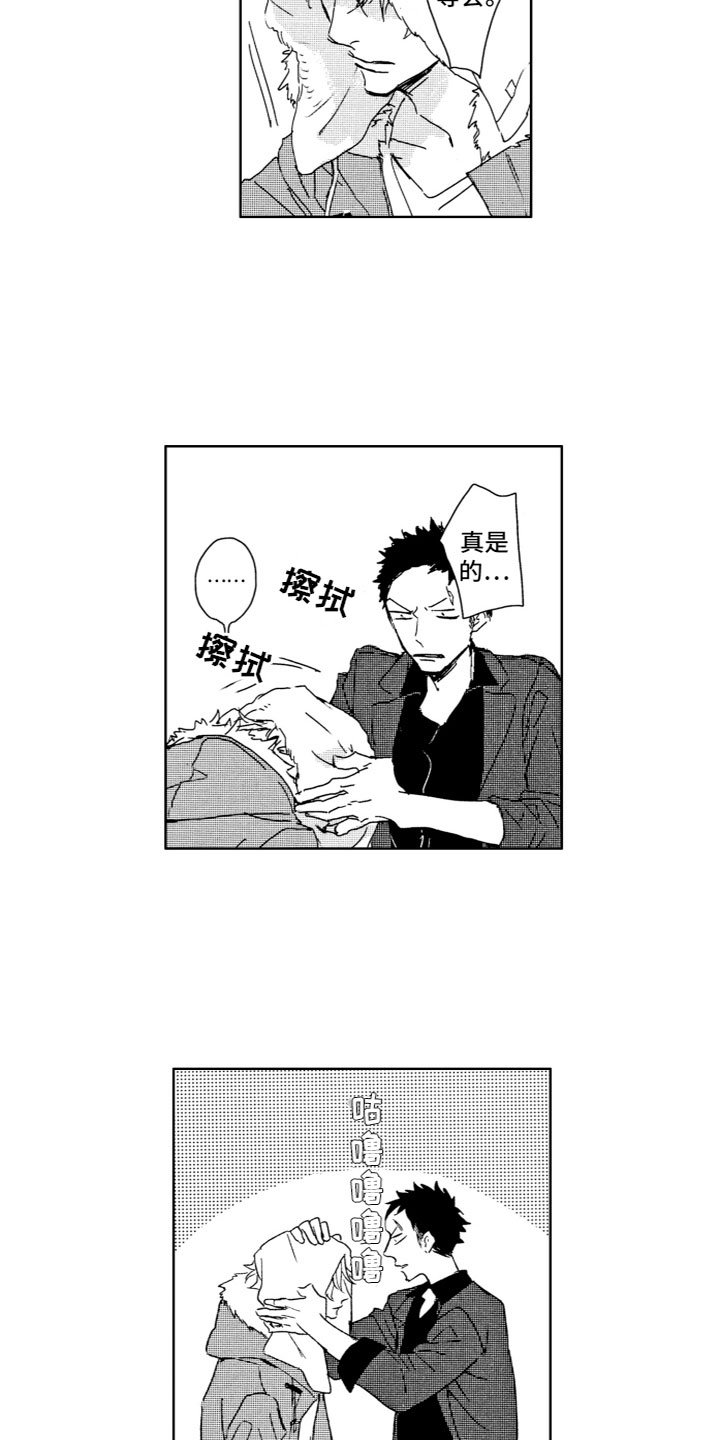 第3章：确认