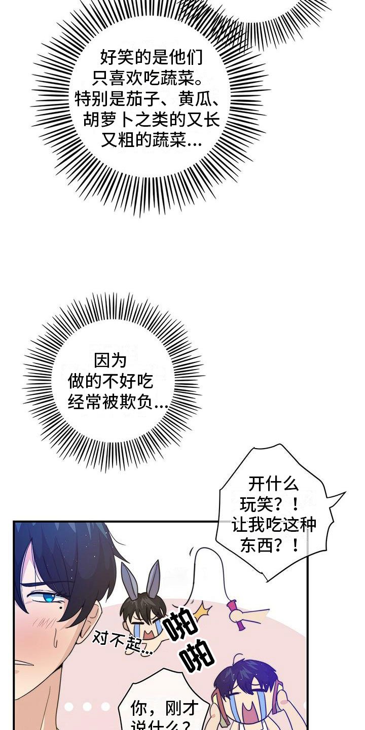 第1章：“灰姑娘”