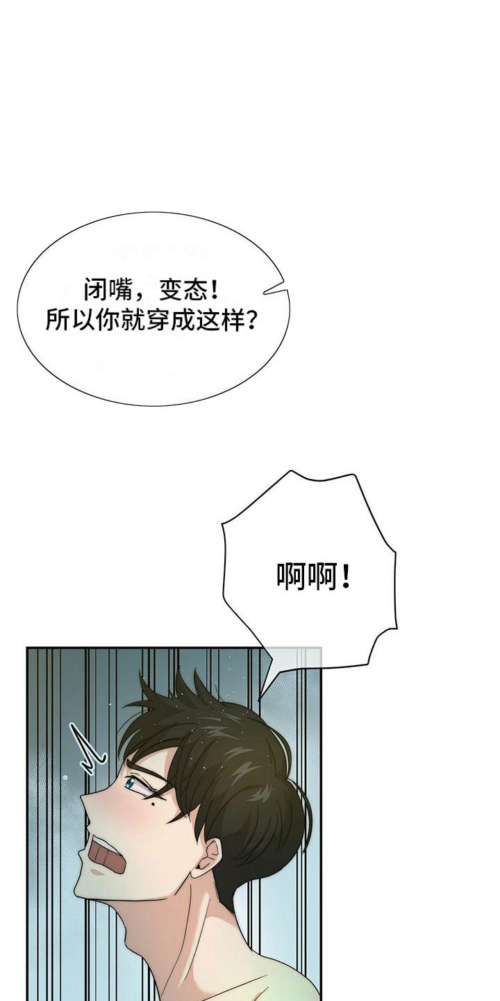 第1章：“灰姑娘”