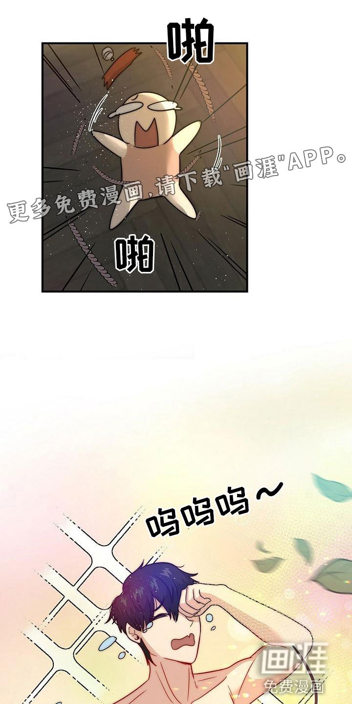 第11章：精灵