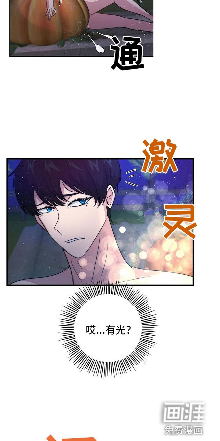 第11章：精灵