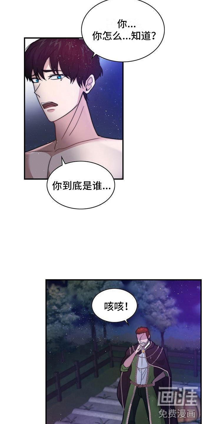 第11章：精灵