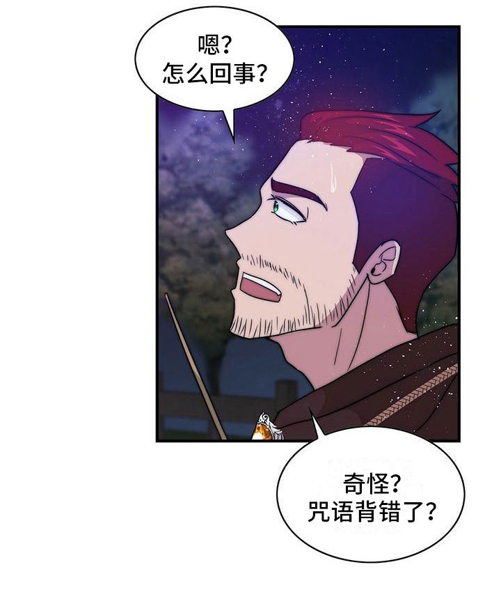 第13章：咒语出错