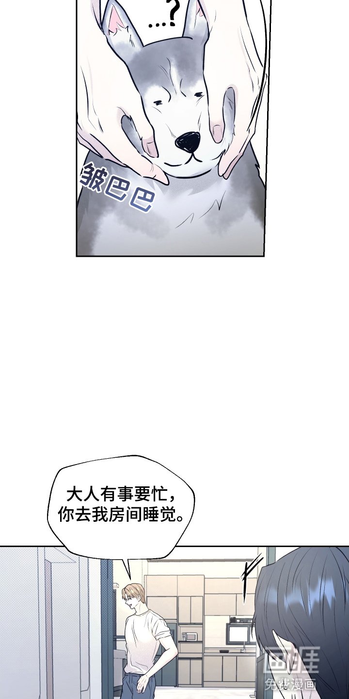 第11章：带回家