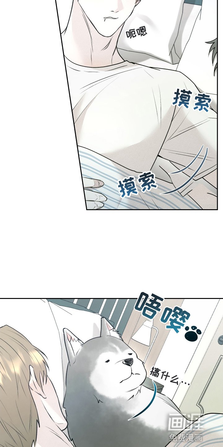 第14章：帽子戏法