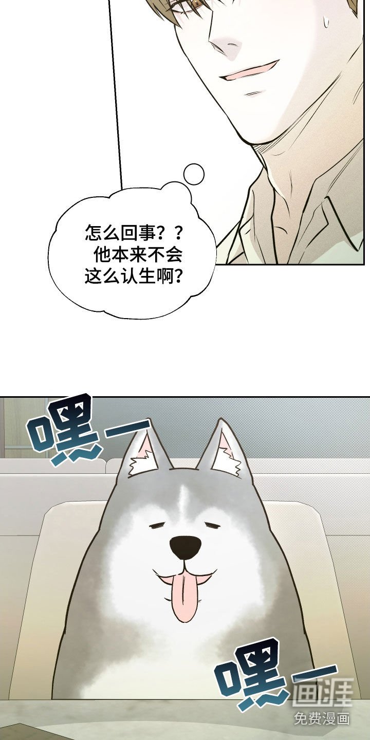 第15章：目标
