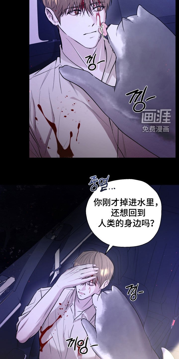 第32章：结束了