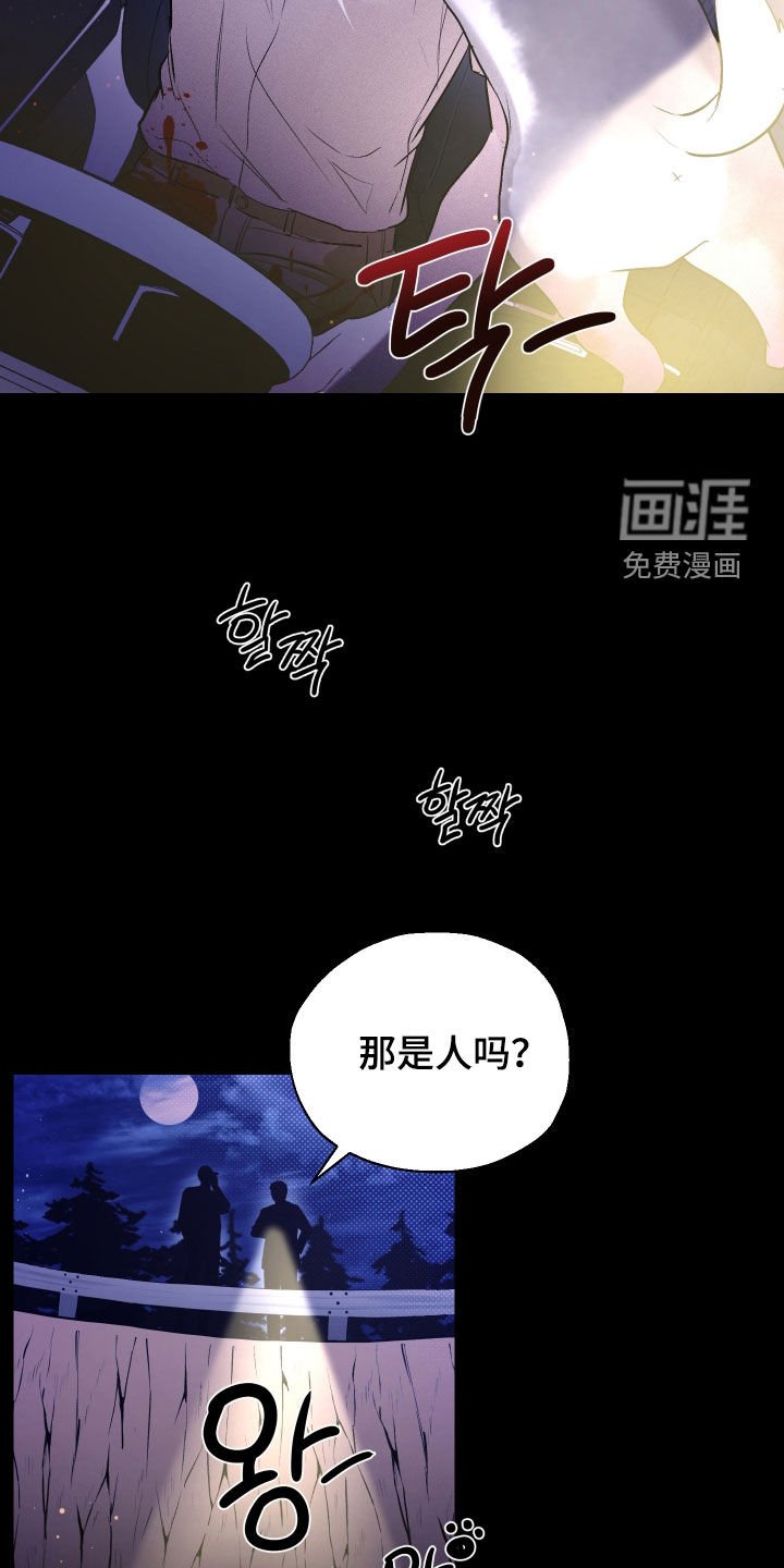 第32章：结束了