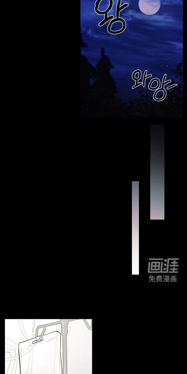 第32章：结束了