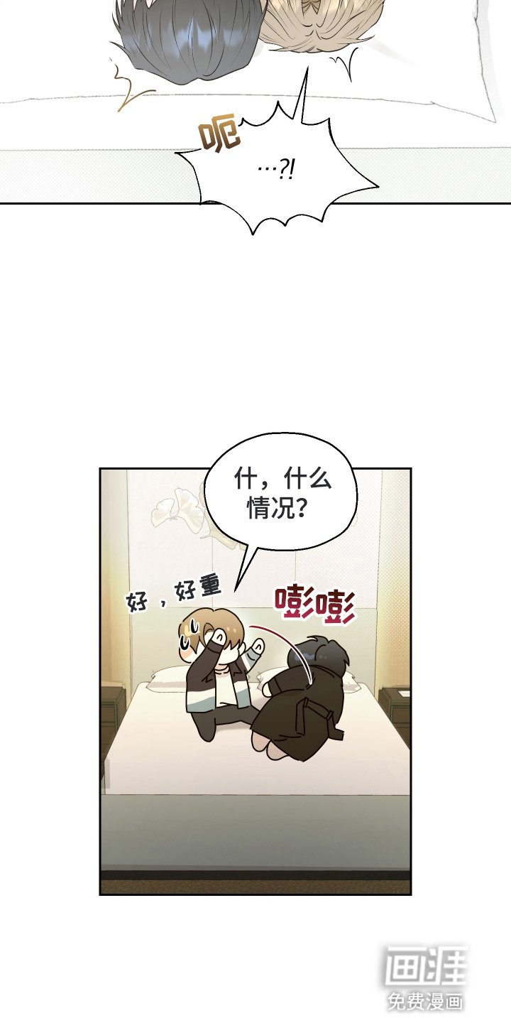 第6章：戛然而止