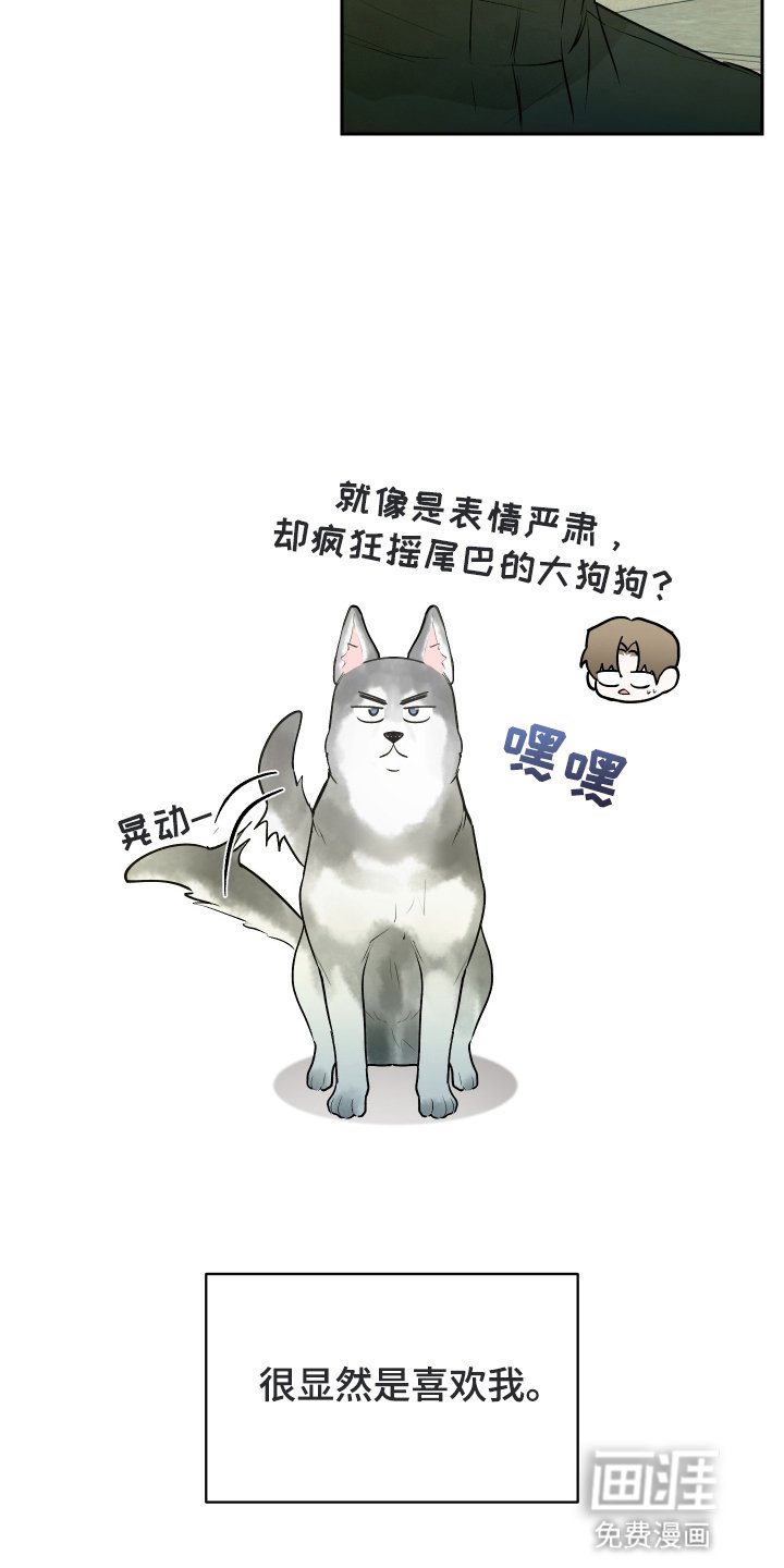 第9章：奇怪的举动