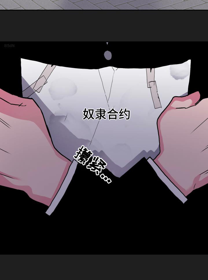 第46章：奴隶
