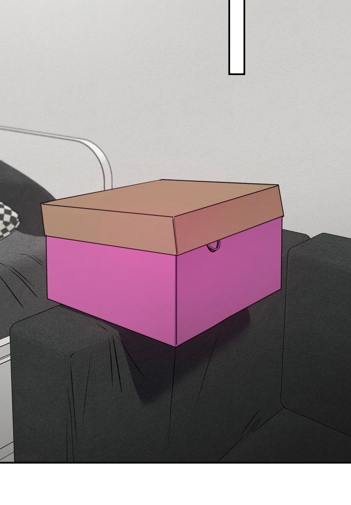 第62章：【第二季】收藏