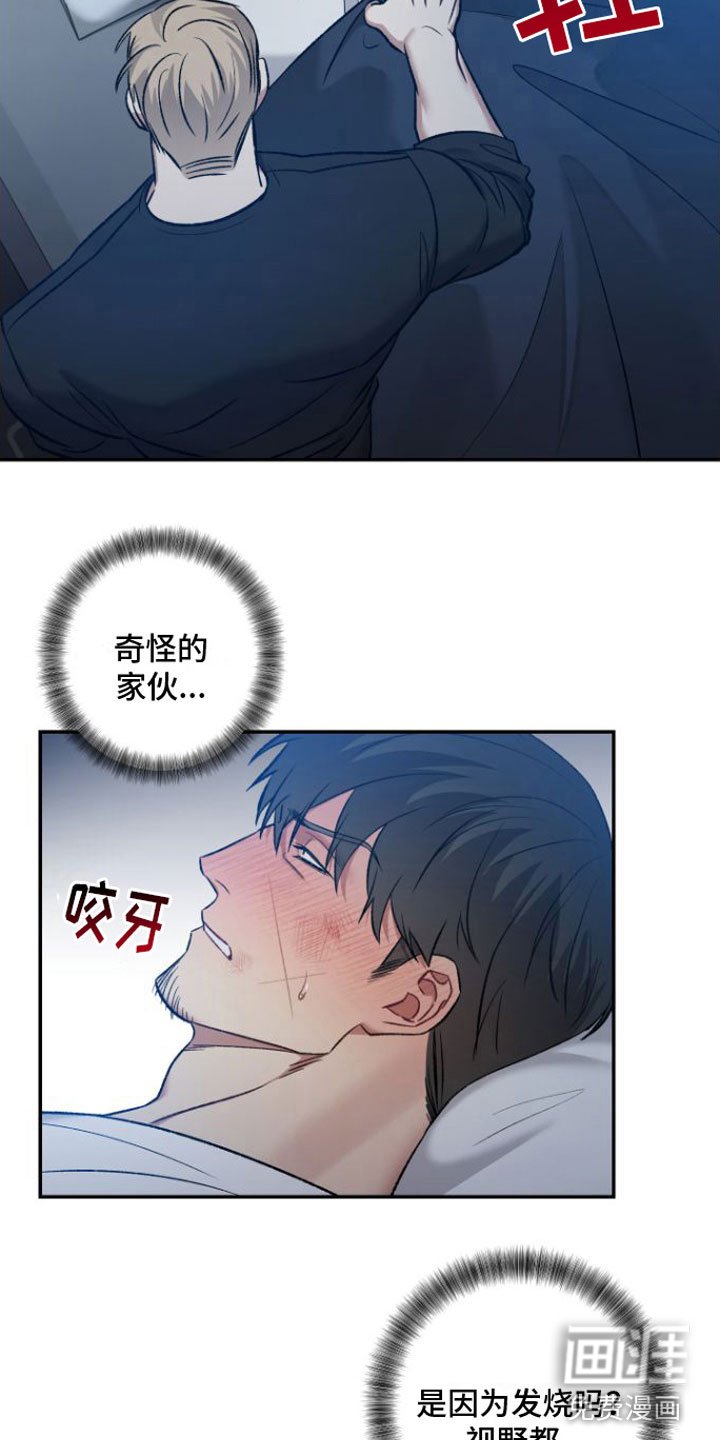 第6章：安慰