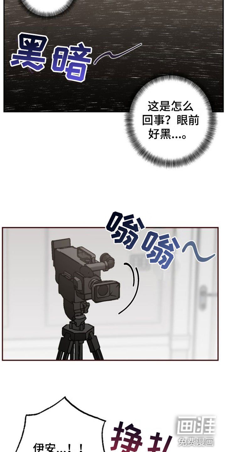 第9章：狗东西们