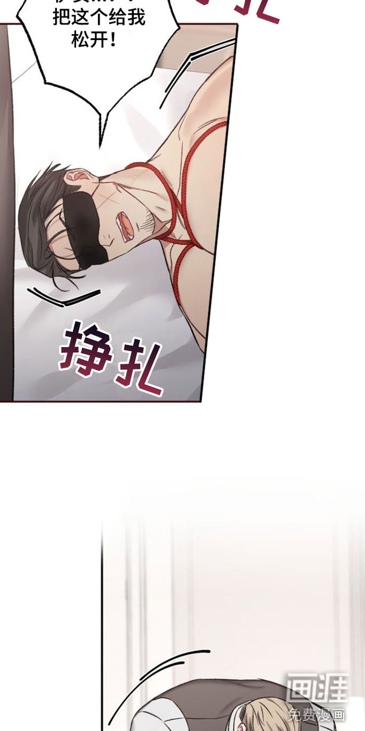 第9章：狗东西们