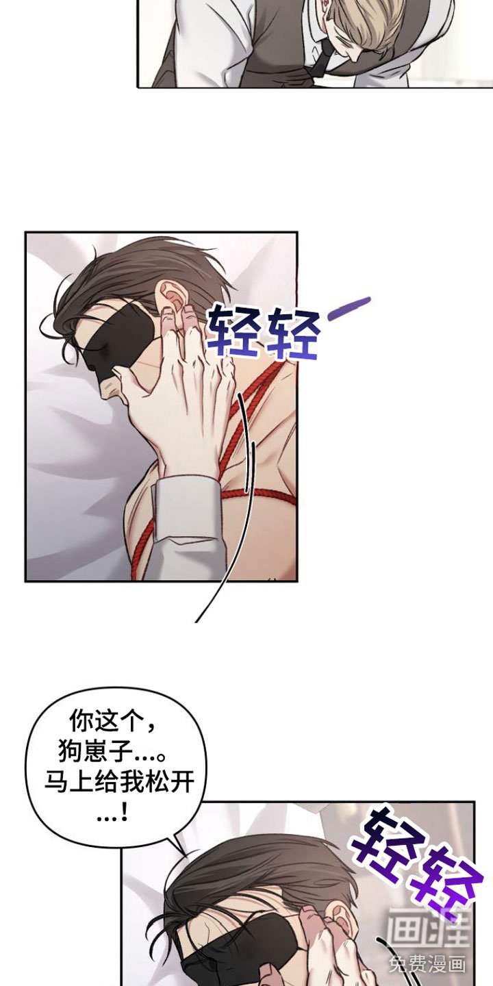第9章：狗东西们