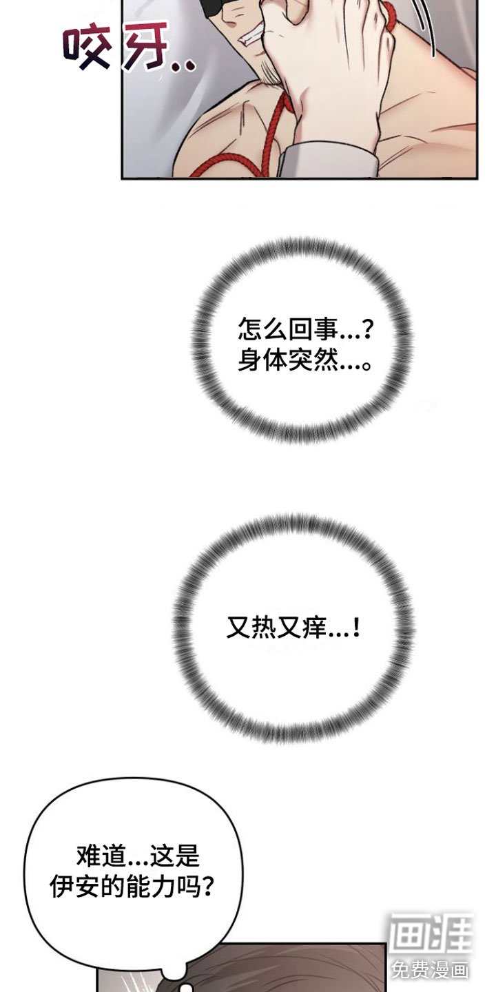 第9章：狗东西们