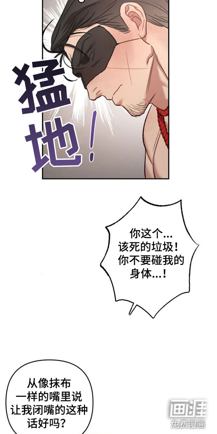 第9章：狗东西们