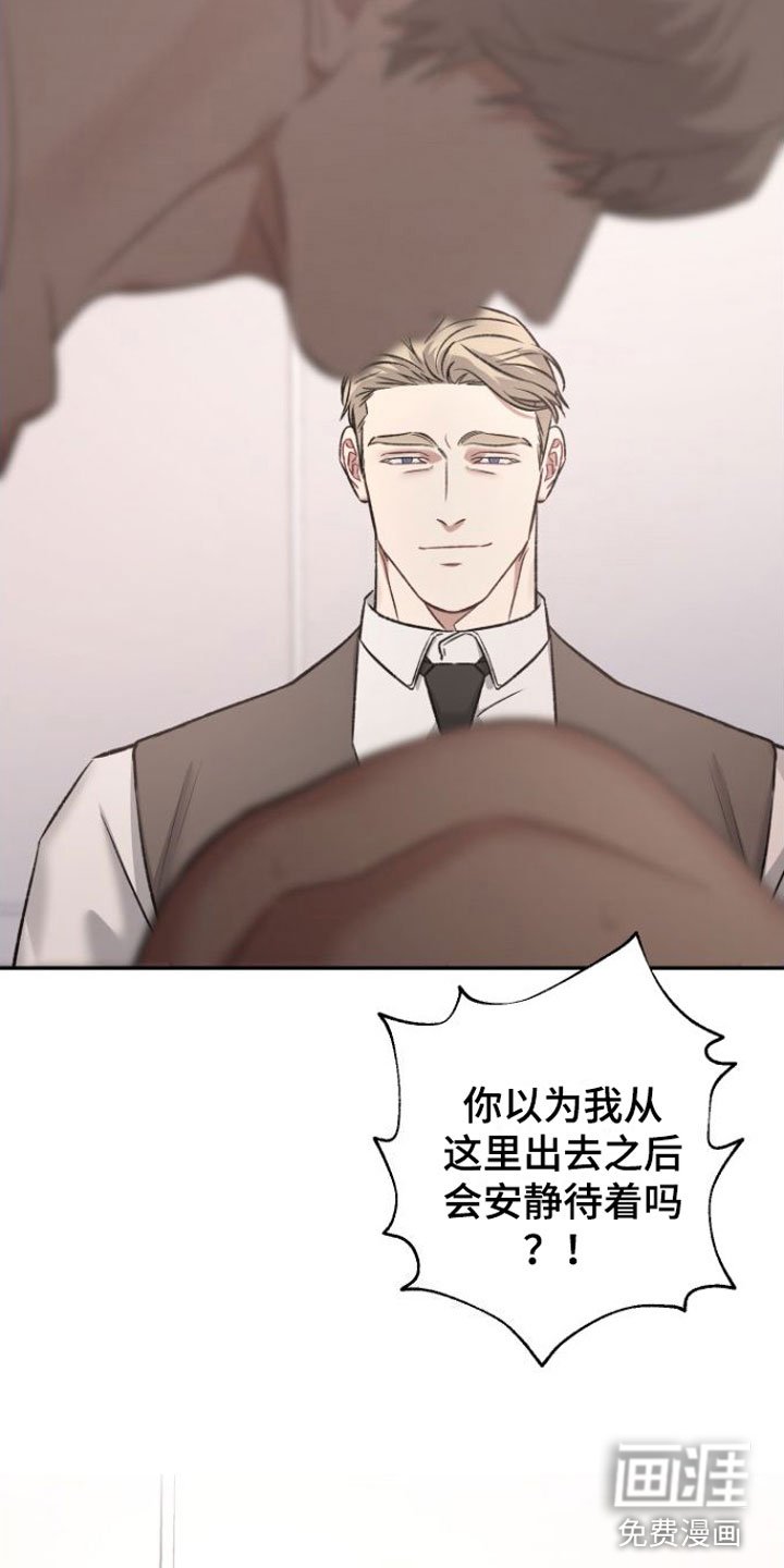 第9章：狗东西们