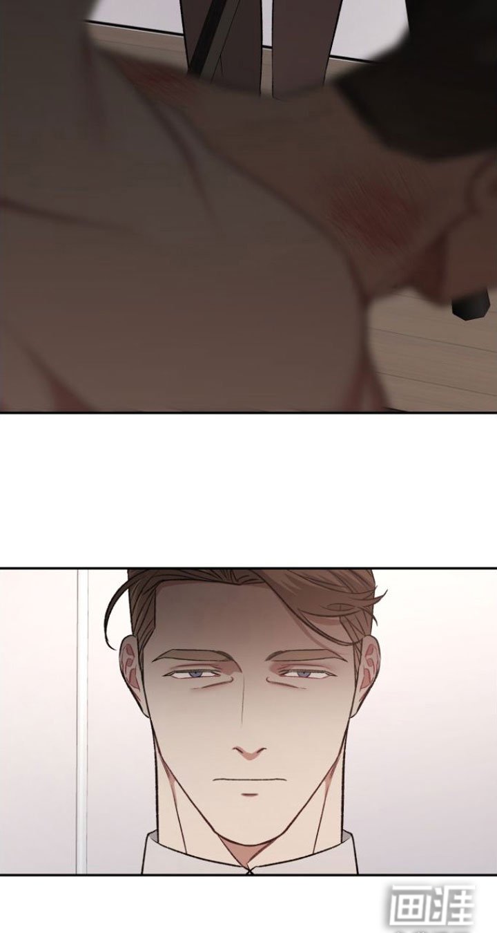 第9章：狗东西们
