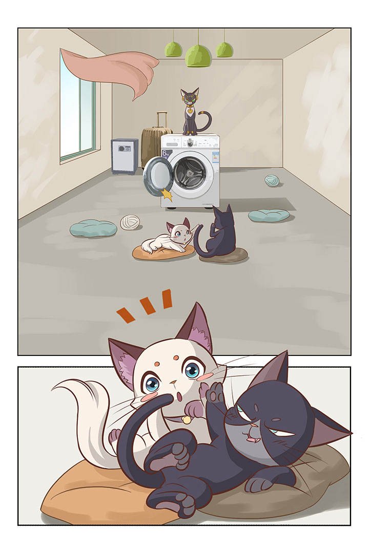 第1章：