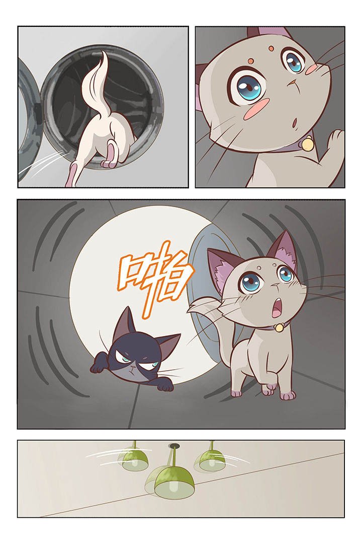 第1章：