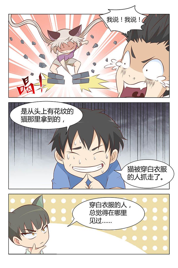 第11章：