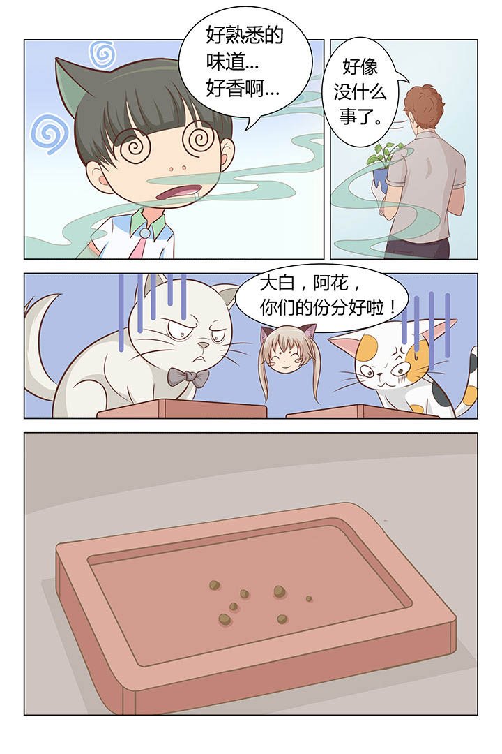 第12章：
