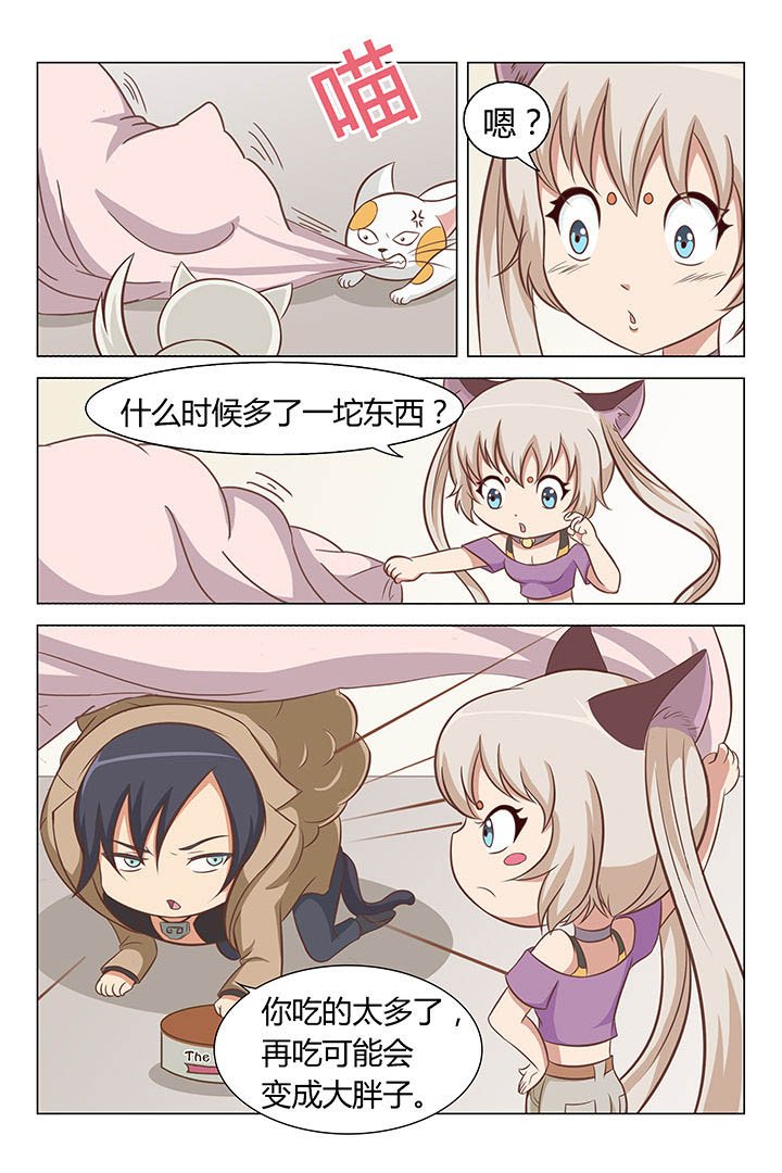 第13章：