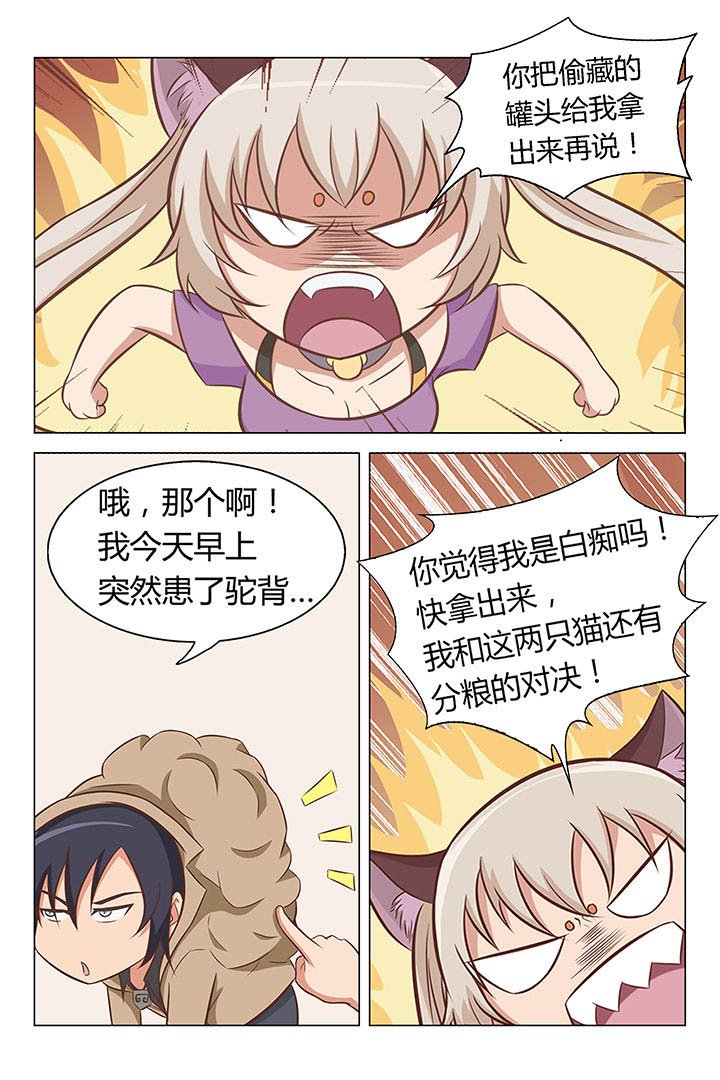 第13章：