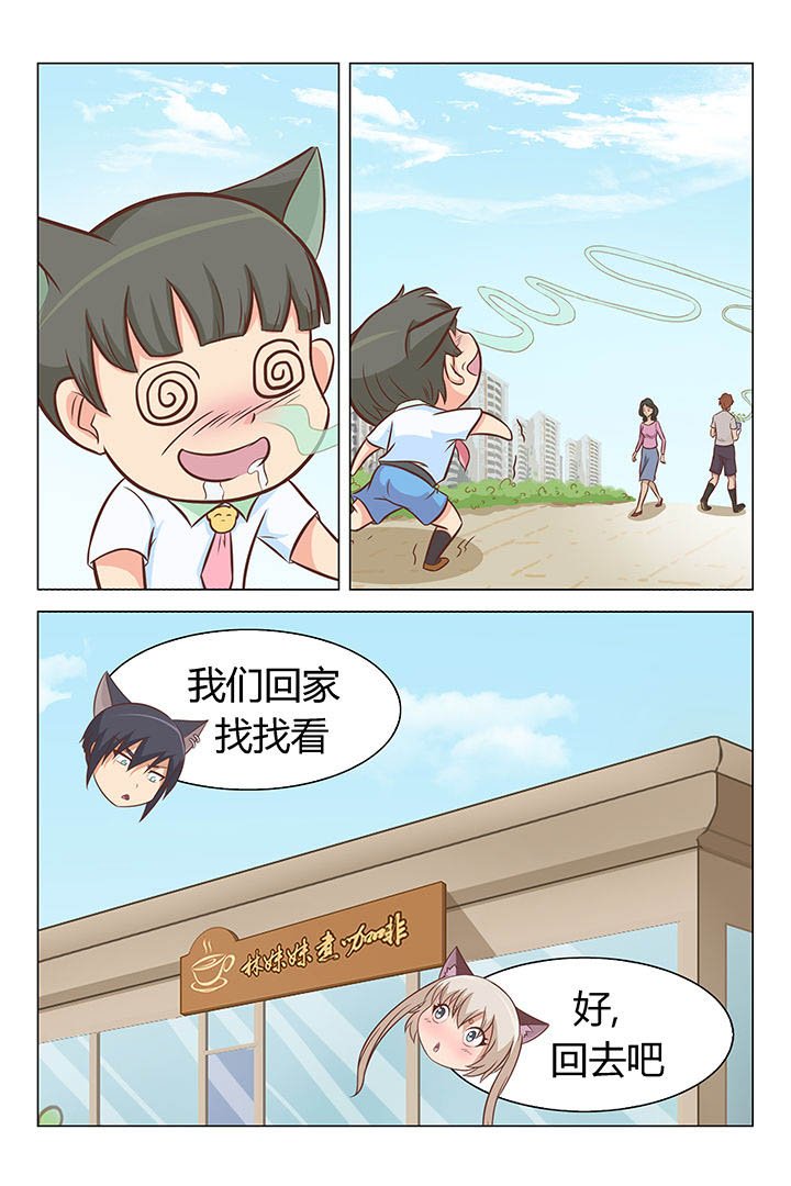 第13章：