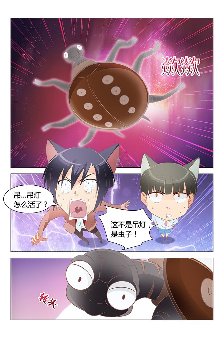 第137章：