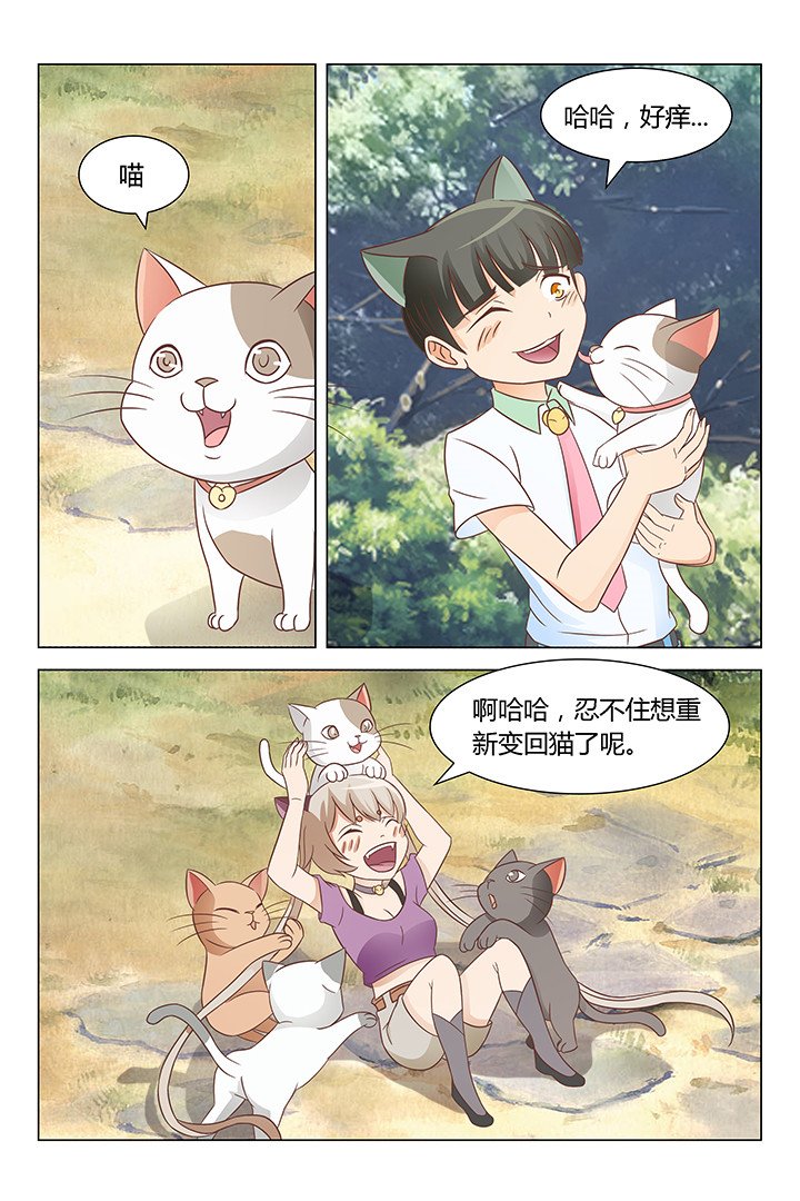 第141章：
