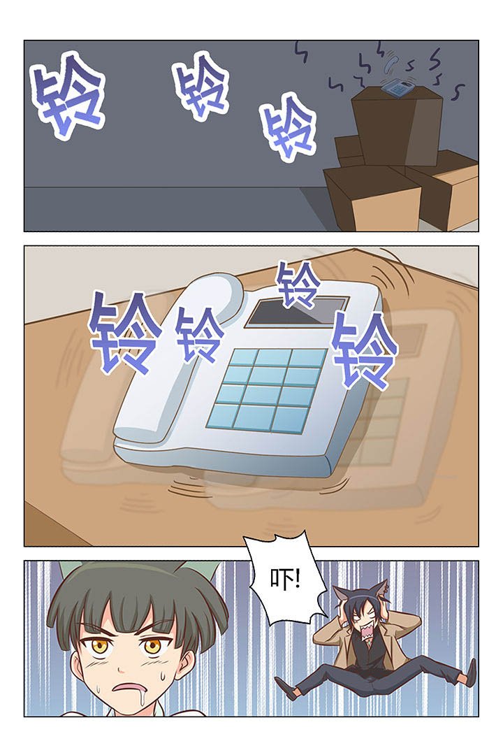 第15章：