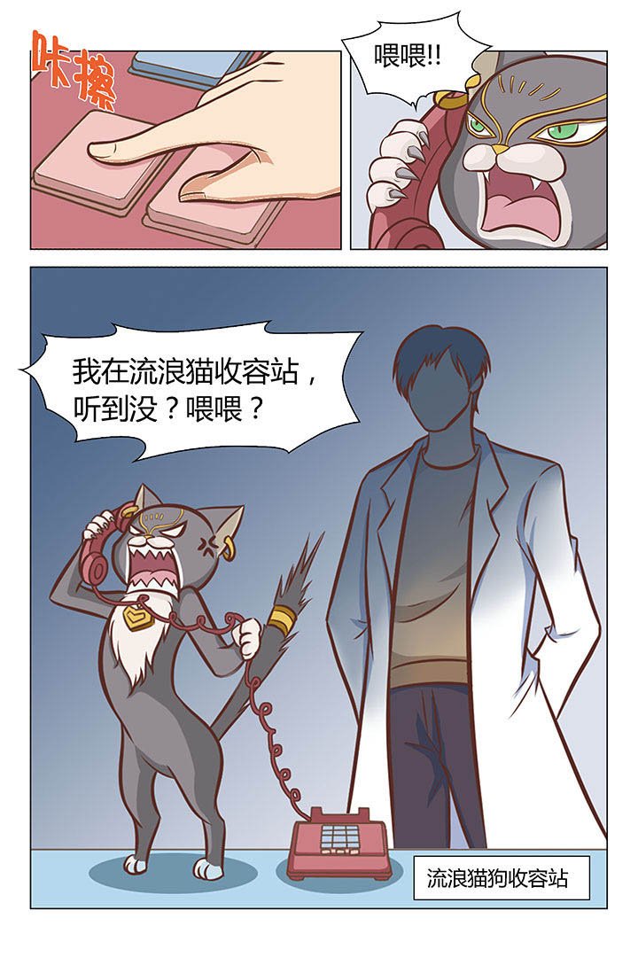 第17章：