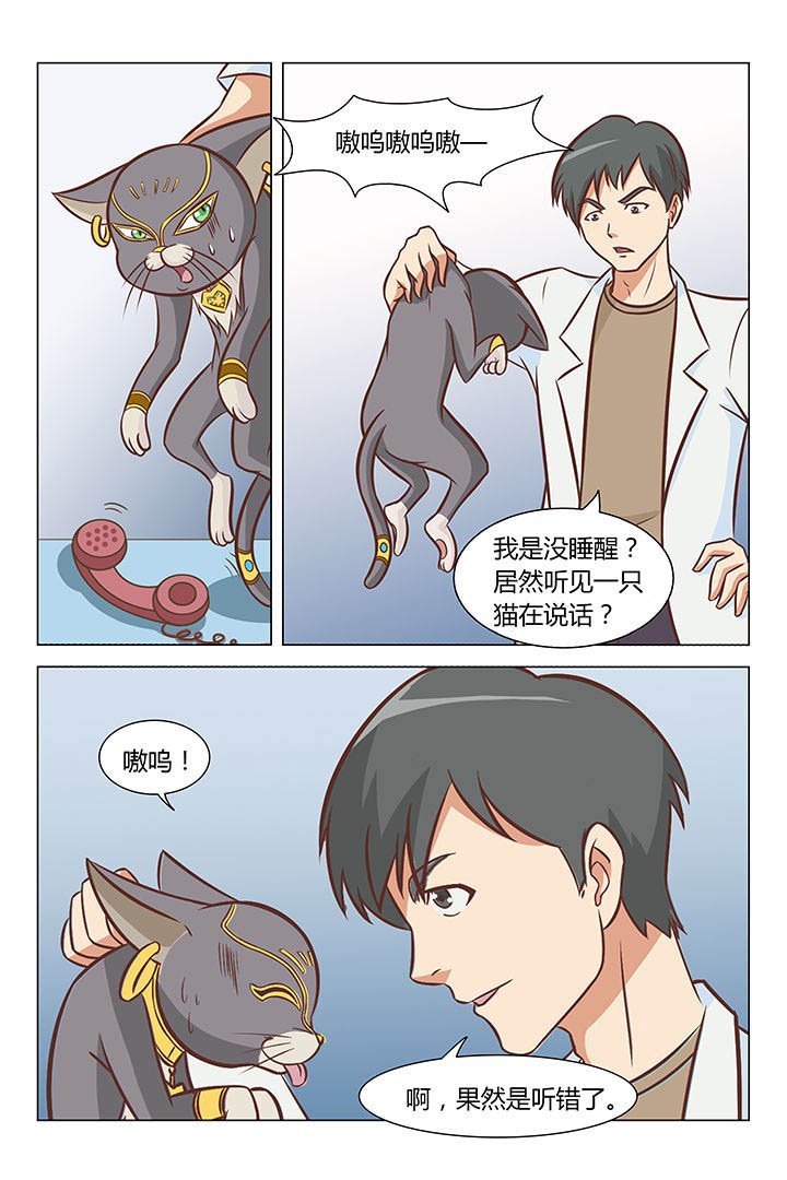 第17章：