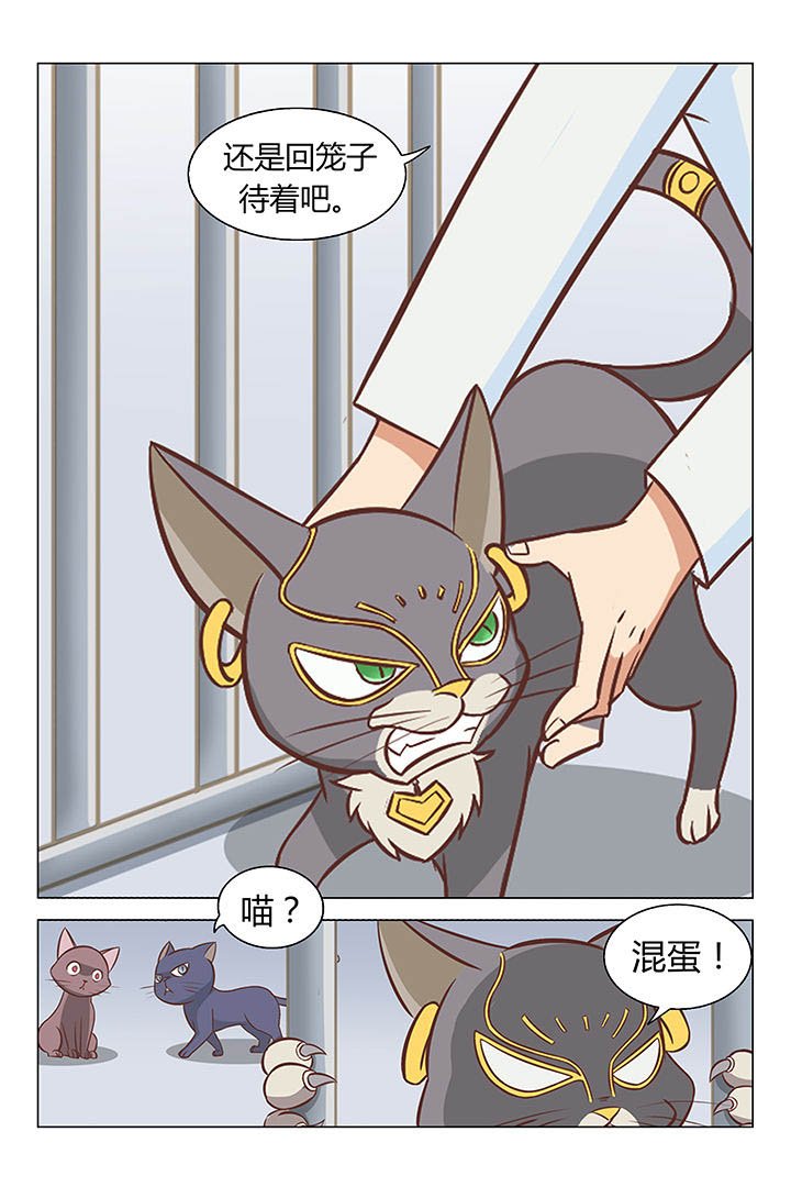 第17章：