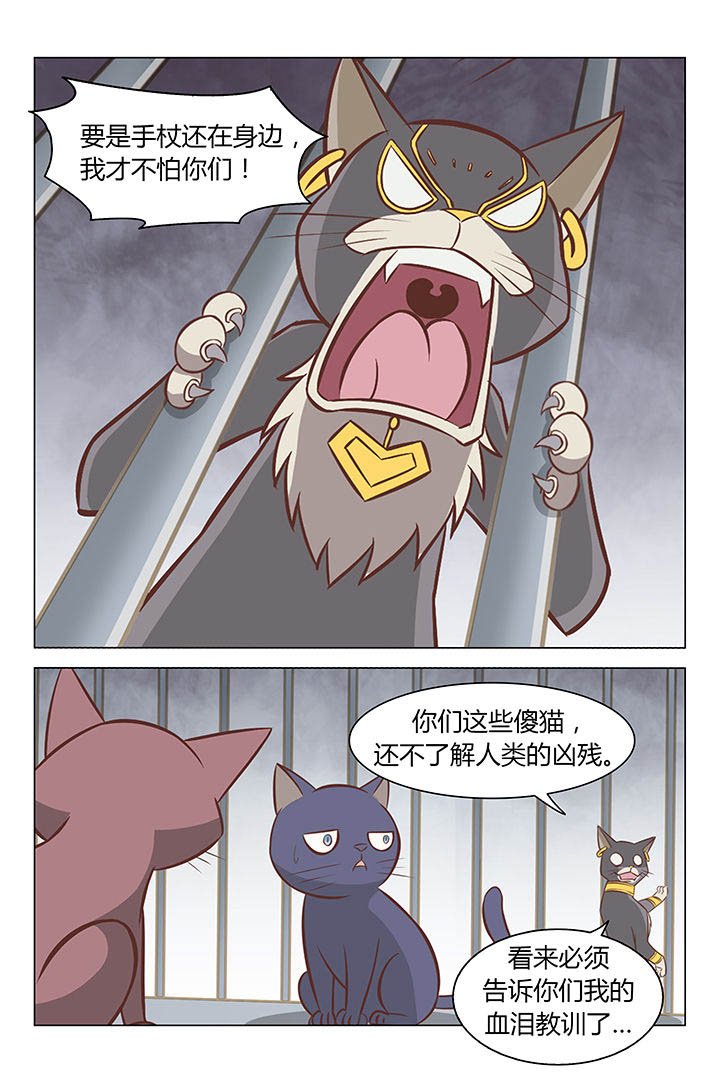 第17章：