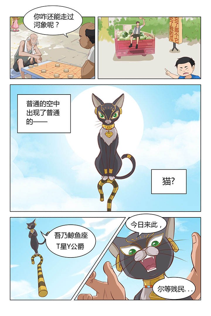 第17章：